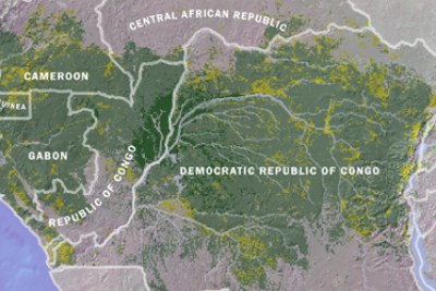 Le bassin forestier du Congo