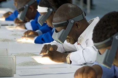 Sorting diamonds in Botswana (file photo).