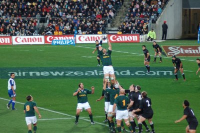 Line out during a match between South Africa and New Zealand (file photo).
