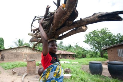 A farmer carries firewood (file photo): Up to 90 percent of Zimbabweans now rely on firewood for cooking, a huge leap from around 50 percent two decades ago, according to non-governmental organisation Environment Africa.