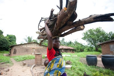A Nigerian farmer.