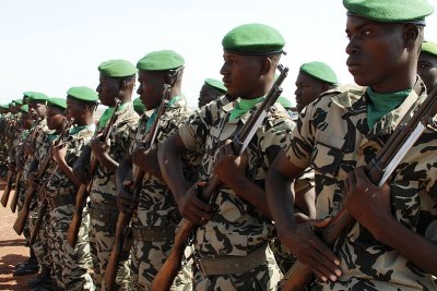Malian soldiers stand in formation.