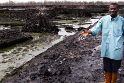 Un déversement de pétrole bien plus grave que Shell ne l'a reconnu a eu lieu dans le delta du Niger.