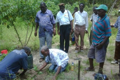 Mozambican communities planting boundary trees to mark agreed borders.