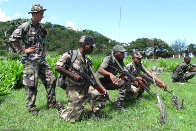 Une unité de l'armée malgache