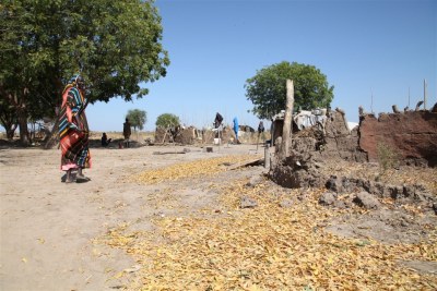 Mud and straw tukuls have been reduced to rubble in Abyei .