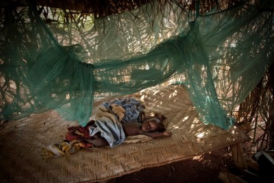 A baby sleeps protected by mosquito net
