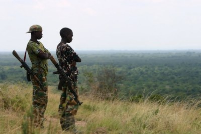 Jeunes homme armées dans le Nord-Kivu. (archive)