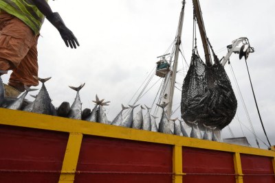 Déchargement de thon dans le principal port d’Abidjan.