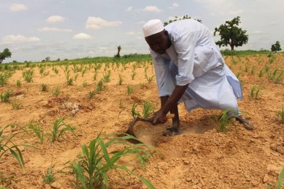 Un déplacé interne, agriculteur de profession prépare la terre avant de semer à Kukarata, dans le nord-est du Nigéria.