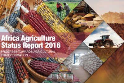 The African Development Bank (AfDB) is one the authors of this year's Africa Agriculture Status Report (AASR), launched on September 6, 2016 in Kenya's capital, Nairobi. The report focuses on Progress toward Agricultural Transformation in Sub-Saharan Africa.