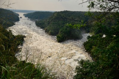 Magnificent. A View of Murchison Falls on the Victoria Nile River in the Murchison Falls National Park in Masindi District.
