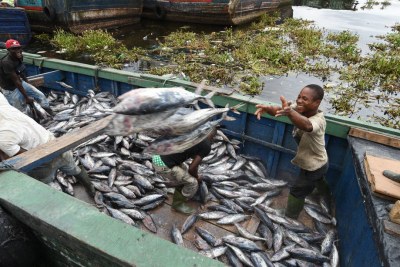 Fishermen offloading tuna at the industrial fish port of Abidjan, Côte d’Ivoire.