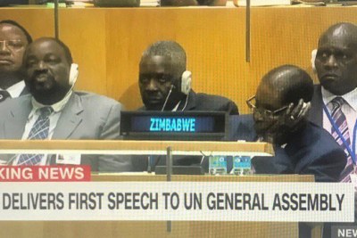 Was Zimbabwean President Robert Mugabe (and some of his delegation) sleeping or 