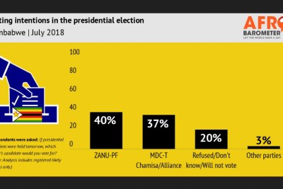 Zimbabwe's presidential race tightens one month ahead of July 30 voting, a new survey finds.