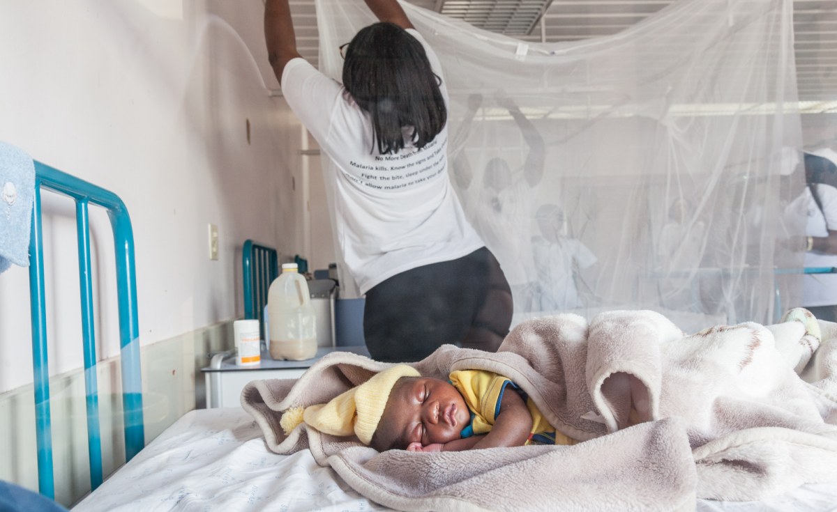 Ethiopia: Nation Striving to Eliminate Malaria By 2030, Says Health Minister