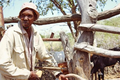 Botswana's farmer Skandi Mokweba stands near a cattle enclosure near his home in Mosinki, a village near Molepolole in southeast Botswana, March 19, 2019.