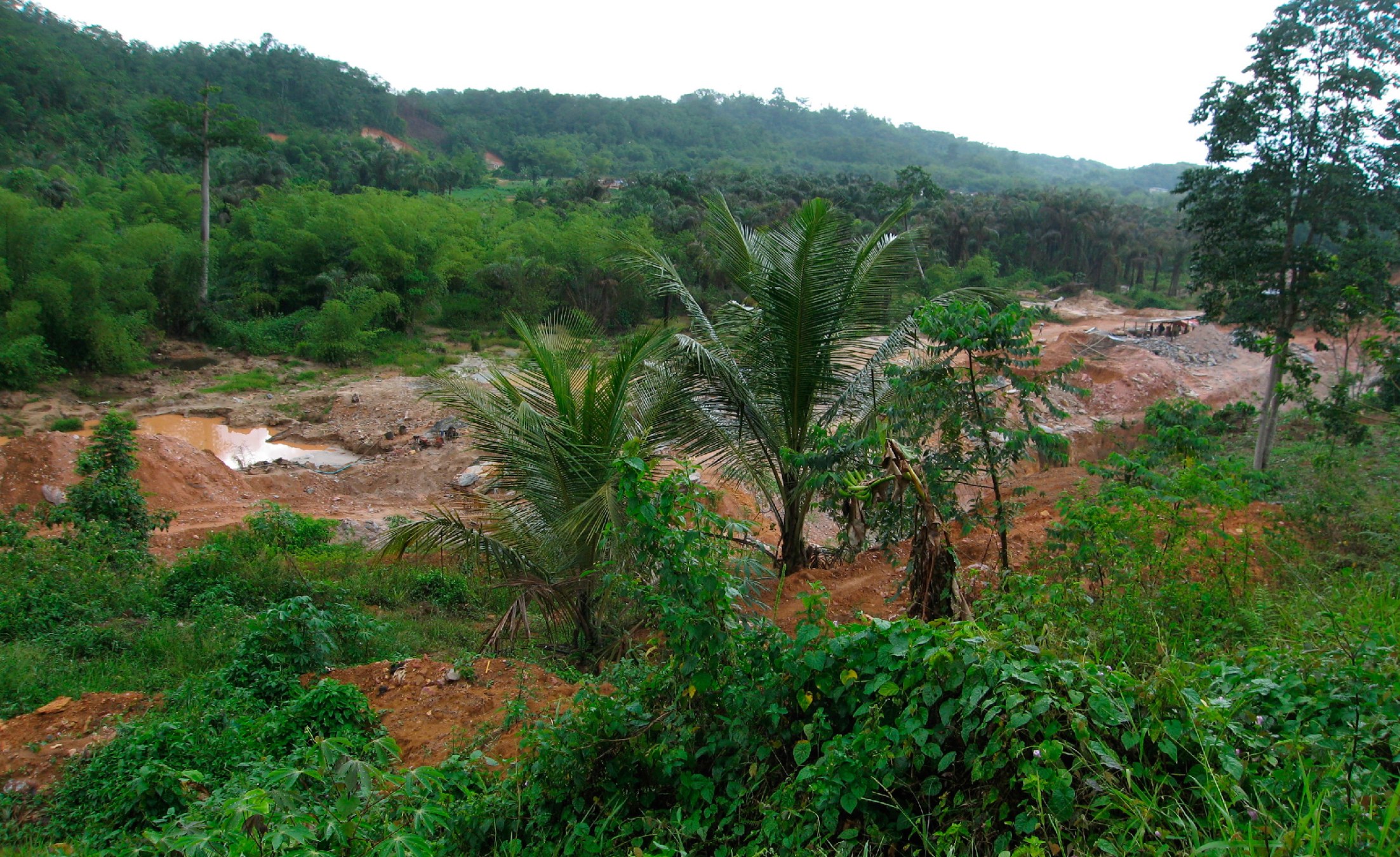 Ghana's Traditional and State Powers Must Collaborate to Halt Illegal