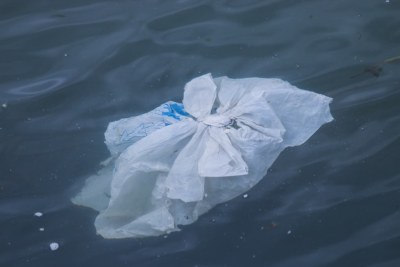 A single use plastic bag floating through the water.