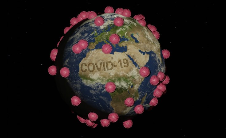 Africa Artemisia Madagascar S Coronavirus Cure Or Covid 19 Quackery Allafrica Com