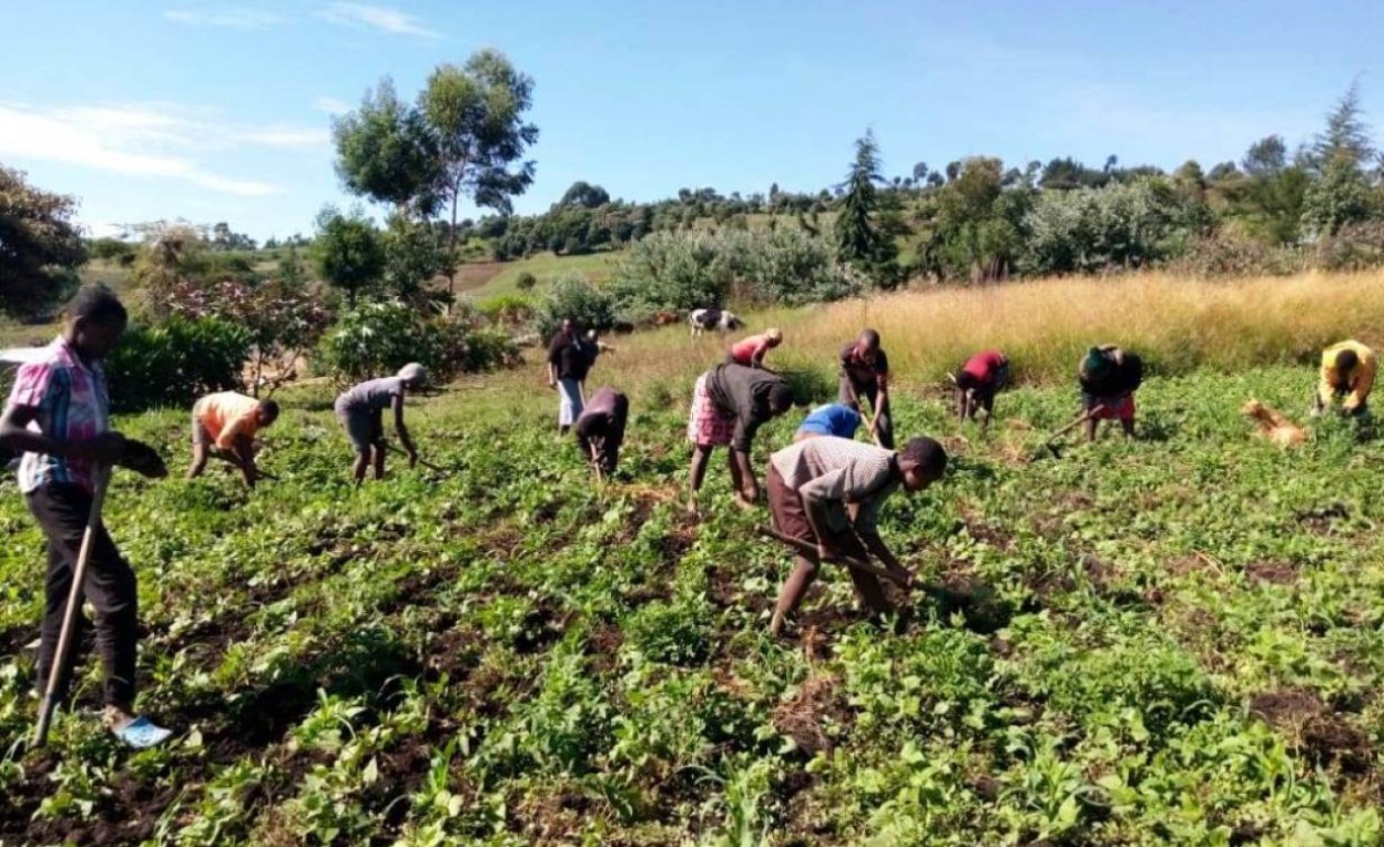 Kenya: Boost for Kenya's Farmers As Children Lend a Hand During ...