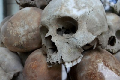 Meurtre. Génocide. Atrocités. Ovaherero. Nama. Réparations. Crânes (photo d'archives).