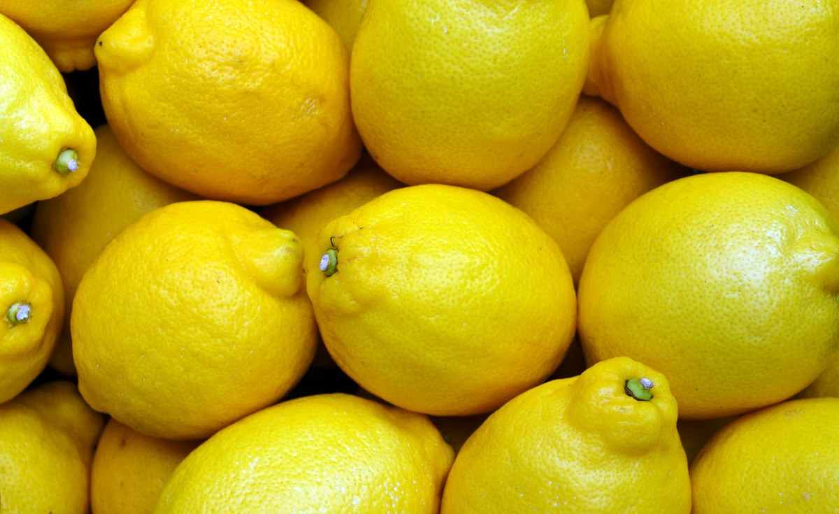 Uganda: Lemon Prices Shoot Up in Western Uganda Thanks to Covid-19 Uganda: Lemon Prices Shoot Up in Western Uganda Thanks to Covid-19