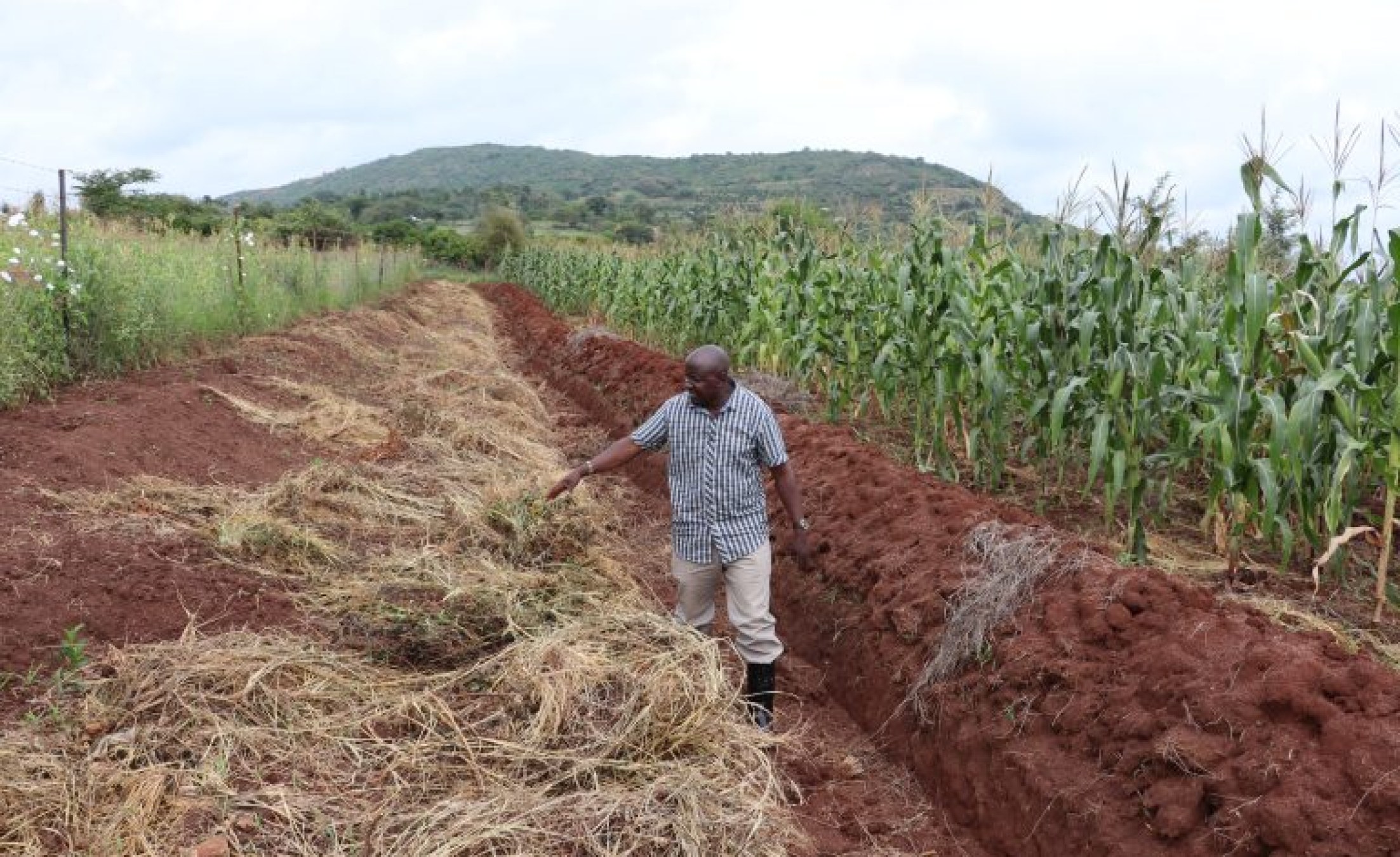 Kenya's Dryland Farmers Embrace Regenerative Farming to Brave Tough ...