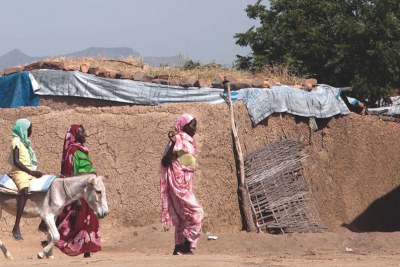 Zalingei, a town in Central Darfur, Sudan (file image).