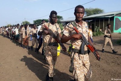 Government soldiers in the Afar region (file photo).