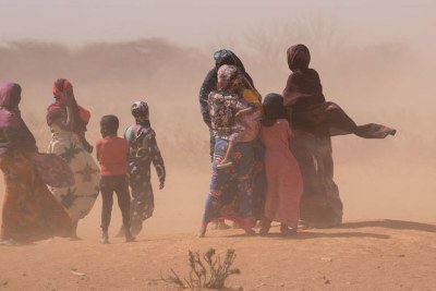 La Corne de l’Afrique connaît sa pire sécheresse depuis plus de quatre décennies,