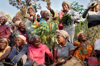 A women’s cooperative in Yoko, Cameroon (file photo)
