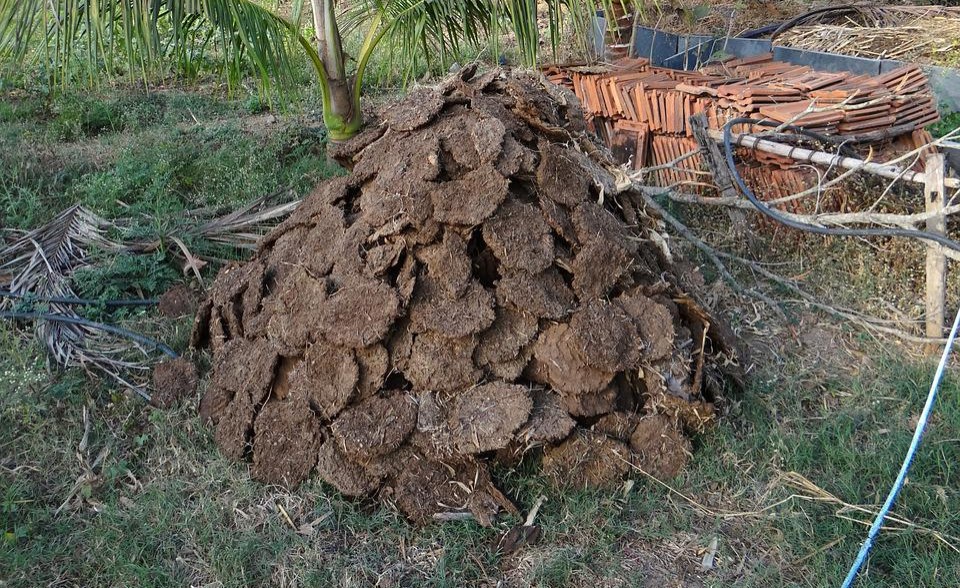 Kenya: Energy Ministry to Build Cow Dung Biogas Plants in 20 Counties Kenya: Energy Ministry to Build Cow Dung Biogas Plants in 20 Counties
