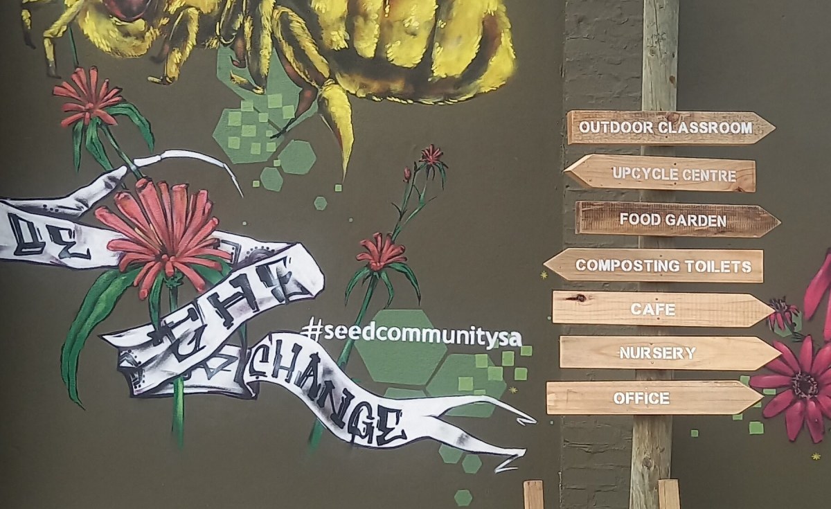 Growing Food and Building Resilience in Cape Town's Underserved Communities #AfricaClimateHope