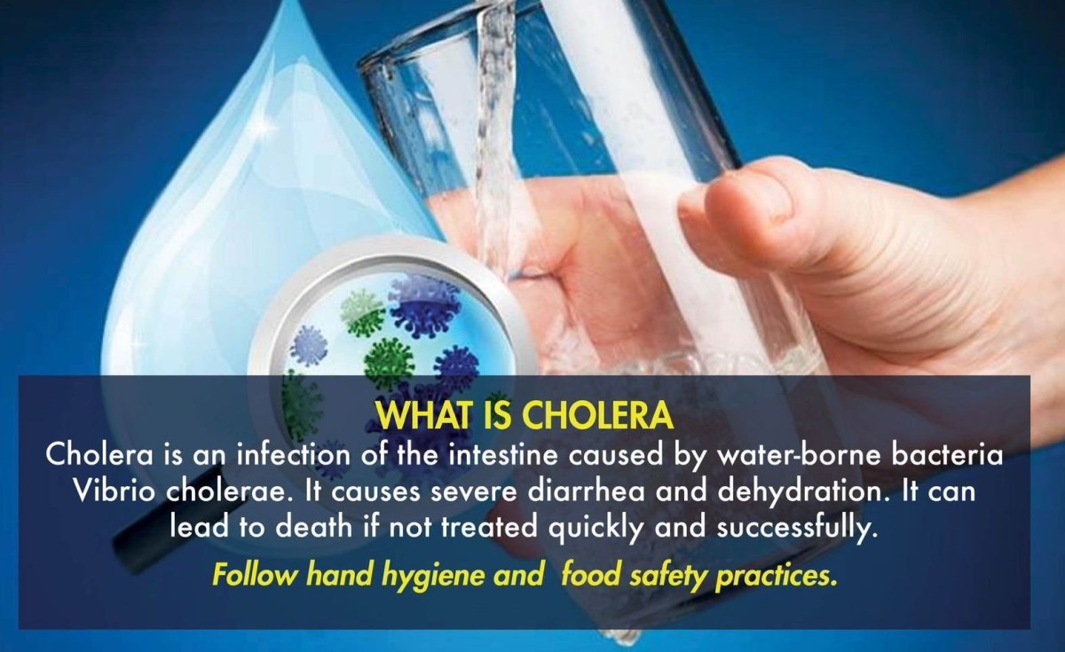South Africa: Limpopo Province Records First Cholera Case - South African News Briefs - May 31, 2023