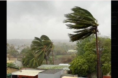 Cyclone Chido made landfall in Cabo Delgado province, Mozambique, on December 15 with destructive winds and heavy rainfall.