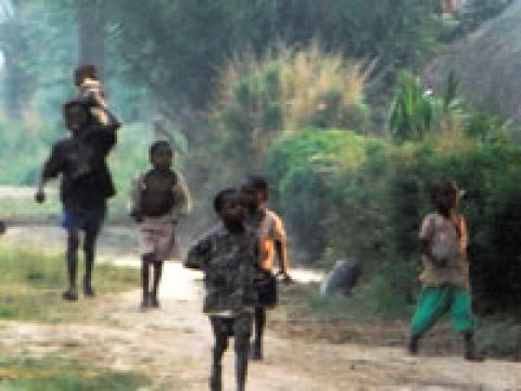 Heart of the Congo: Rebuilding Life in the Face of War (2005)
