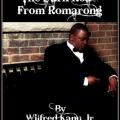 The Dark Road From Romarong by Wilfred Kanu, Jr (aka) Freddy Will