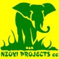 Nzoyi Projects